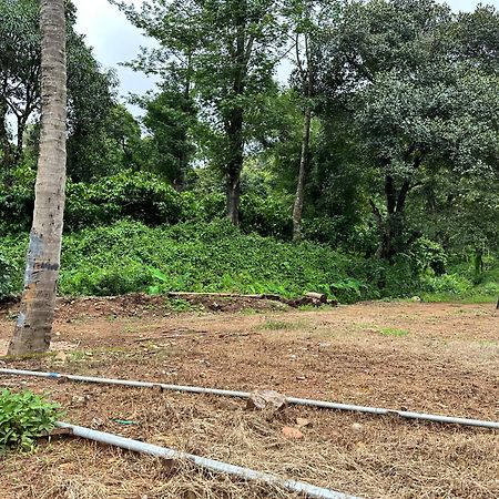 Sherlock Jungle Retreat Srimangala Экстерьер фото