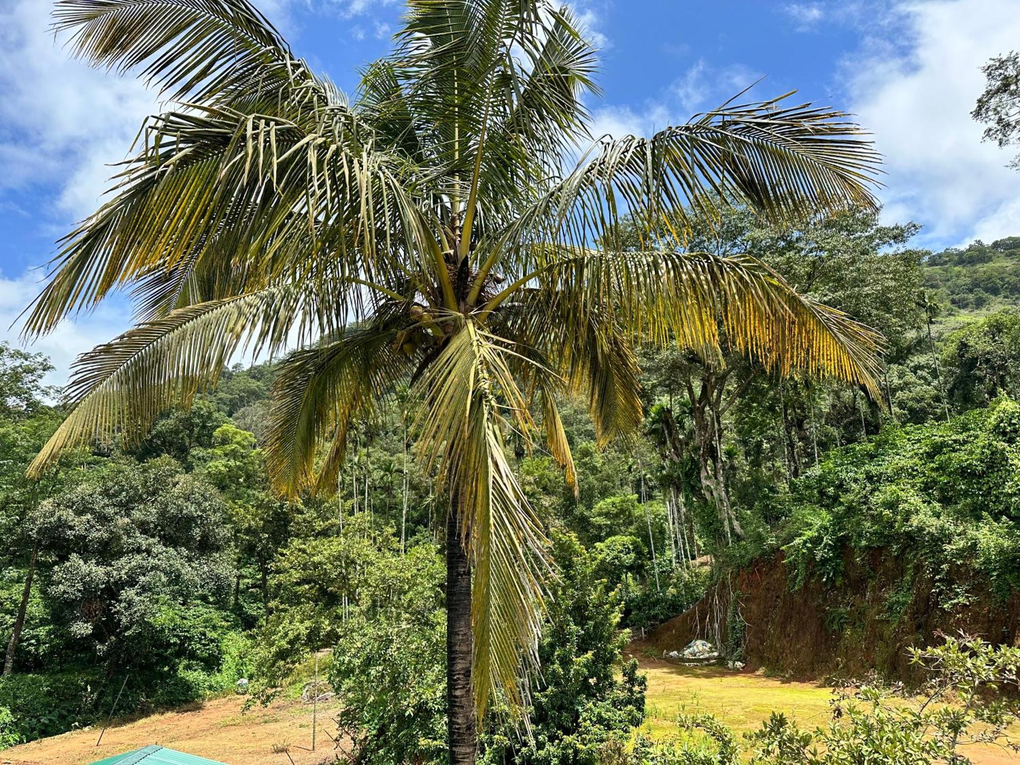 Sherlock Jungle Retreat Srimangala Экстерьер фото
