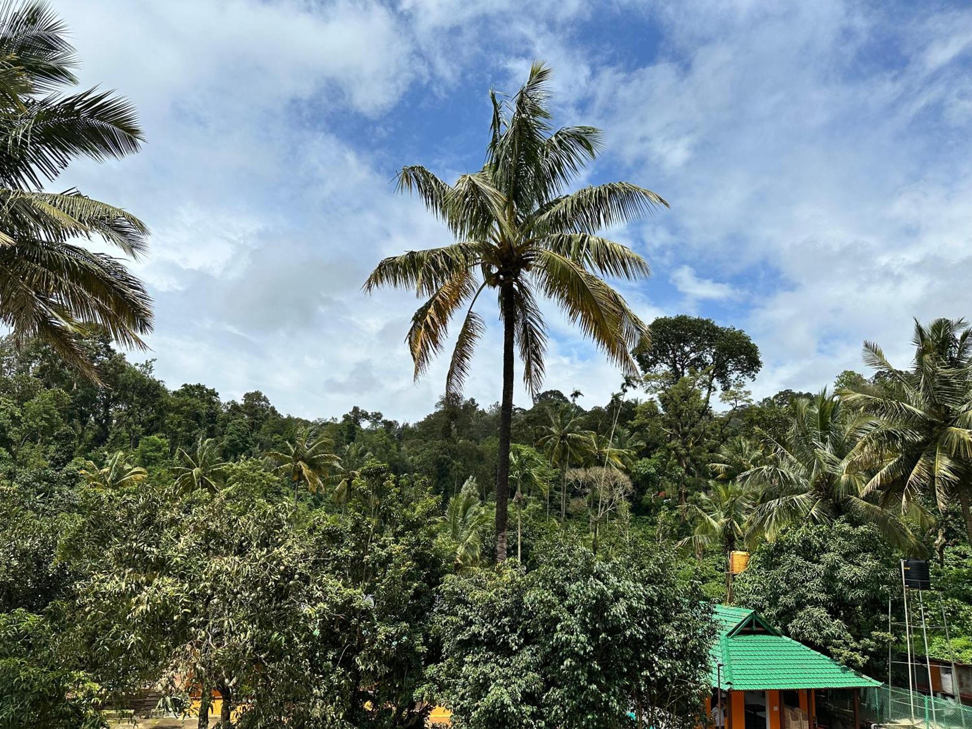 Sherlock Jungle Retreat Srimangala Экстерьер фото