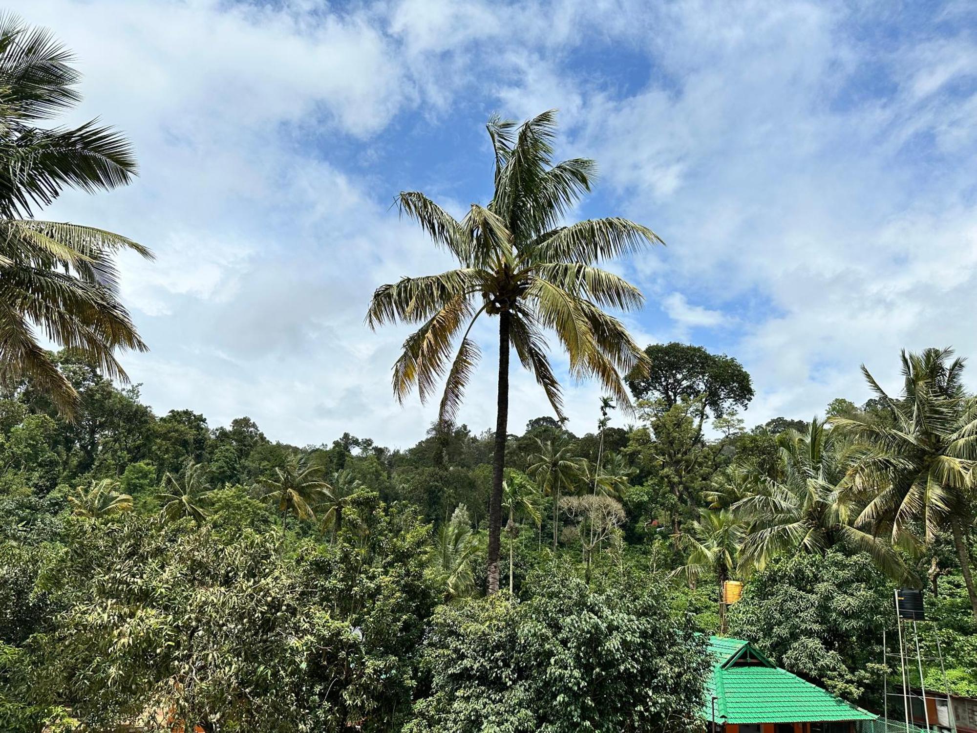 Sherlock Jungle Retreat Srimangala Экстерьер фото
