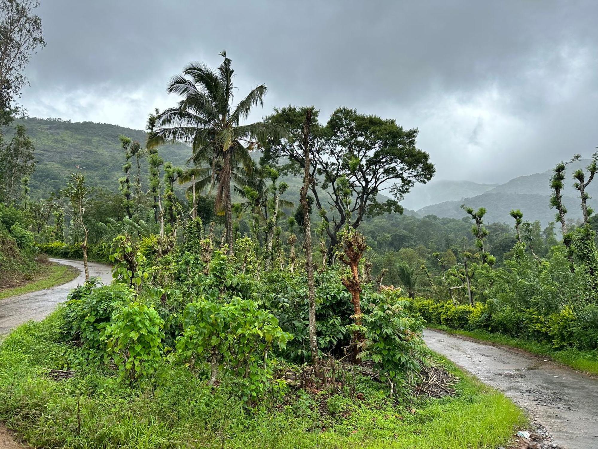 Sherlock Jungle Retreat Srimangala Экстерьер фото