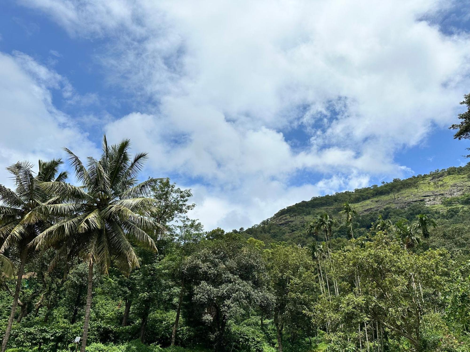 Sherlock Jungle Retreat Srimangala Экстерьер фото
