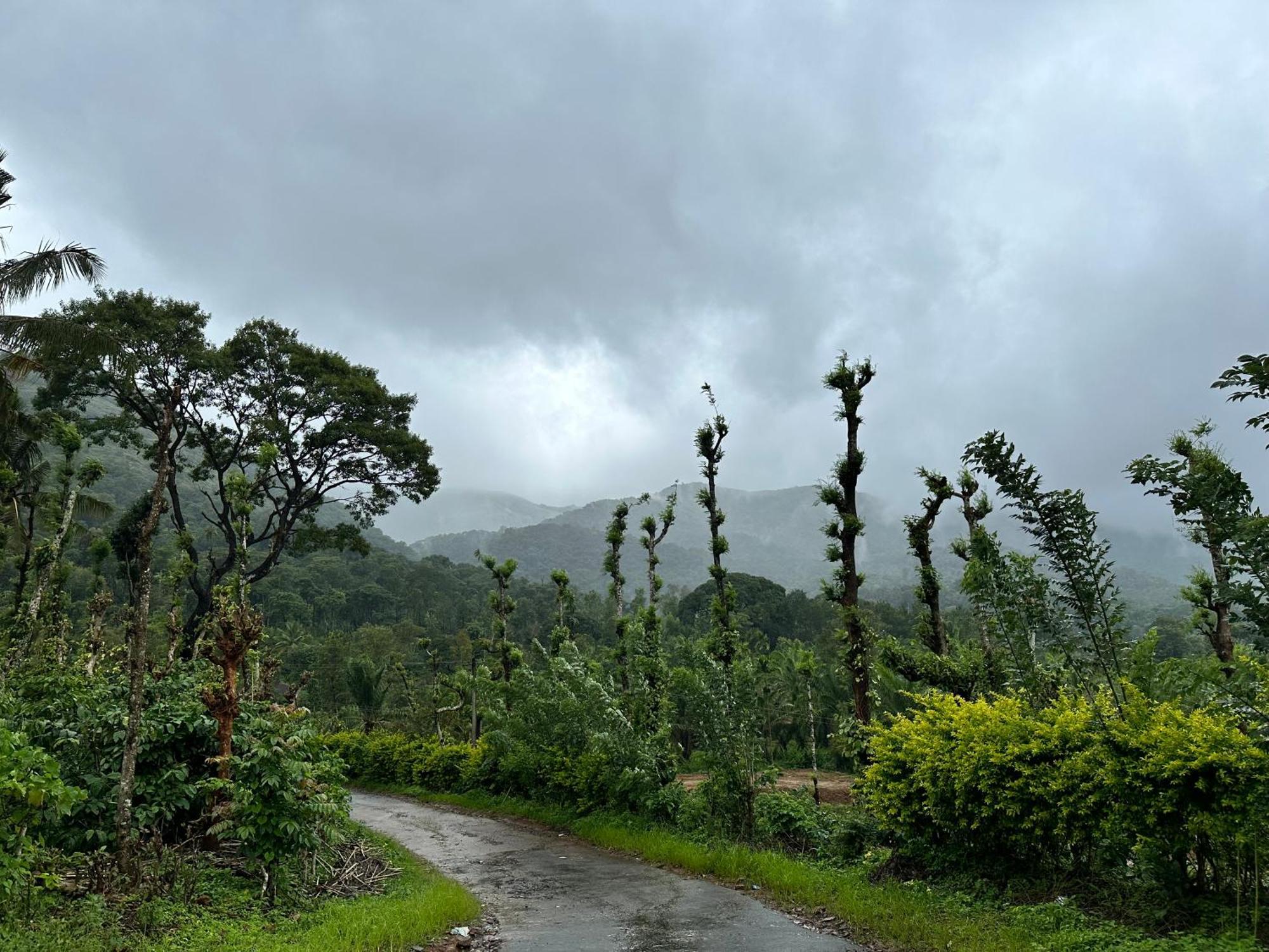 Sherlock Jungle Retreat Srimangala Экстерьер фото