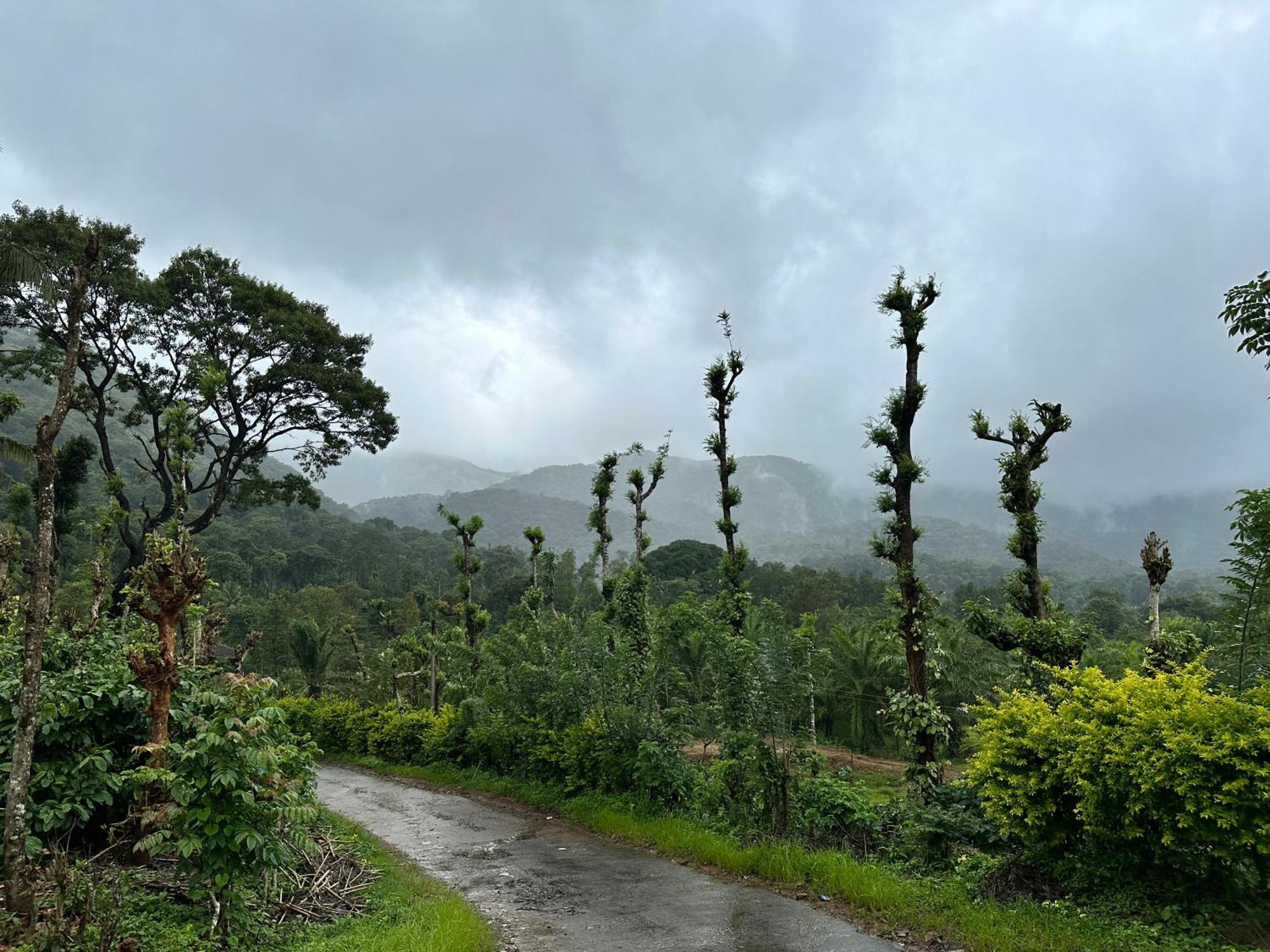 Sherlock Jungle Retreat Srimangala Экстерьер фото