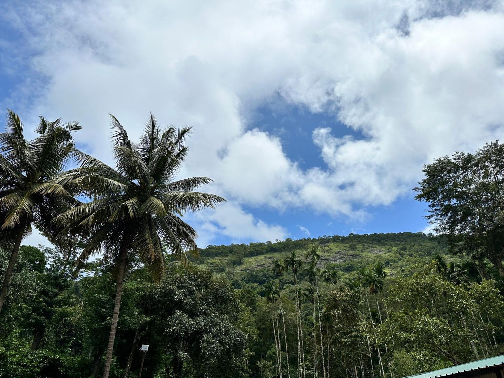 Sherlock Jungle Retreat Srimangala Экстерьер фото